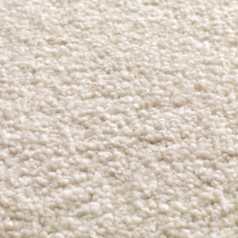Tapanui Carpets